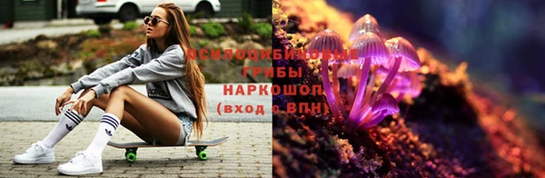 apvp Алексин