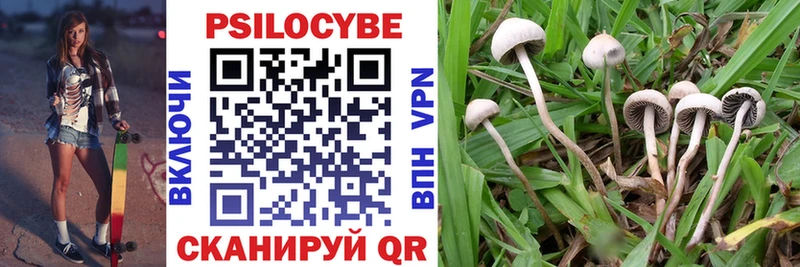 МЕГА рабочий сайт Топки Галлюциногенные грибы Psilocybine cubensis